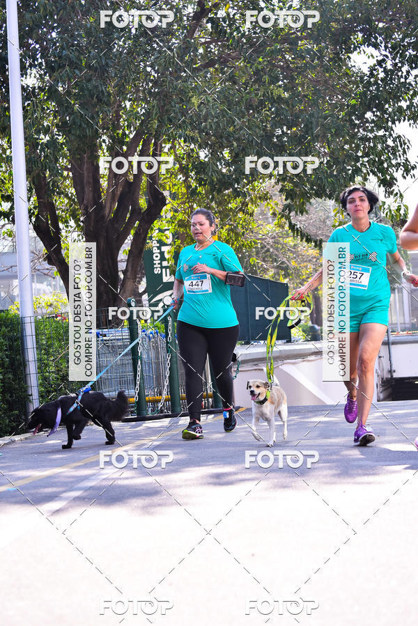 Buy your photos of the event2 Pet Run Shopping Eldorado  on Fotop