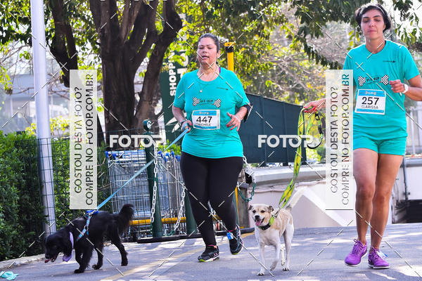 Buy your photos of the event2 Pet Run Shopping Eldorado  on Fotop