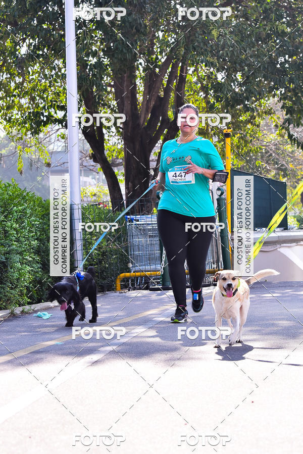 Buy your photos of the event2 Pet Run Shopping Eldorado  on Fotop