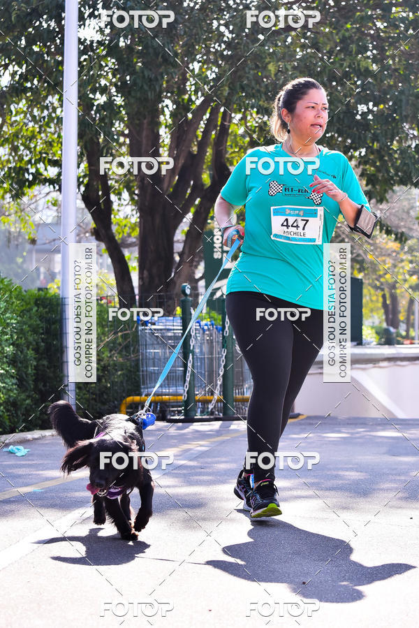 Buy your photos of the event2 Pet Run Shopping Eldorado  on Fotop