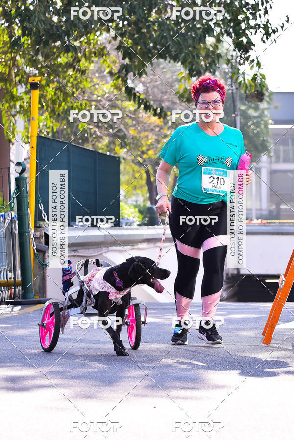 Buy your photos of the event2 Pet Run Shopping Eldorado  on Fotop