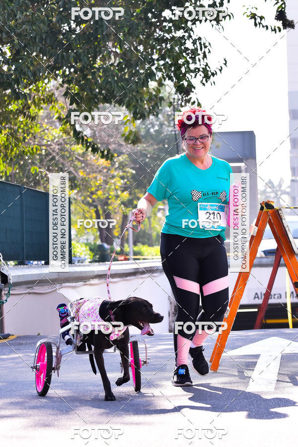 Buy your photos of the event2 Pet Run Shopping Eldorado  on Fotop