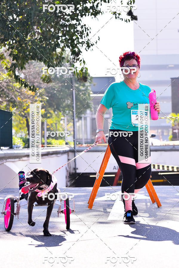 Buy your photos of the event2 Pet Run Shopping Eldorado  on Fotop