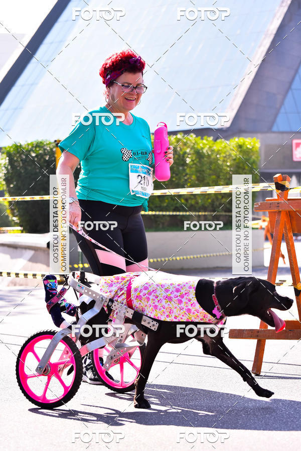 Buy your photos of the event2 Pet Run Shopping Eldorado  on Fotop