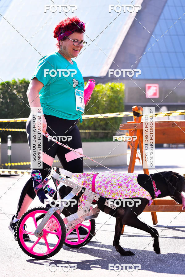 Buy your photos of the event2 Pet Run Shopping Eldorado  on Fotop