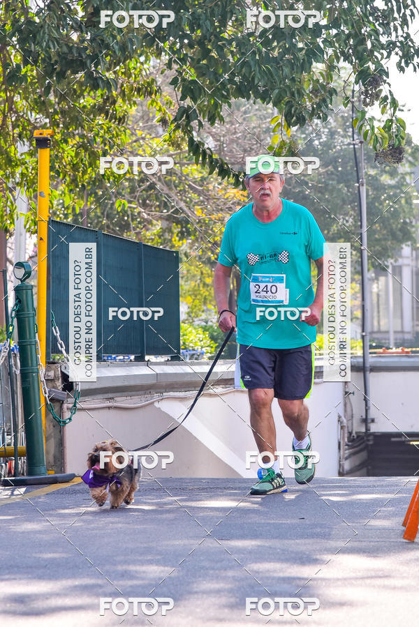 Buy your photos of the event2 Pet Run Shopping Eldorado  on Fotop