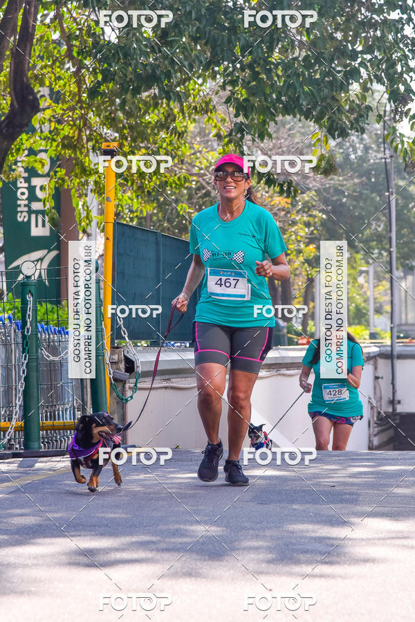 Buy your photos of the event2 Pet Run Shopping Eldorado  on Fotop