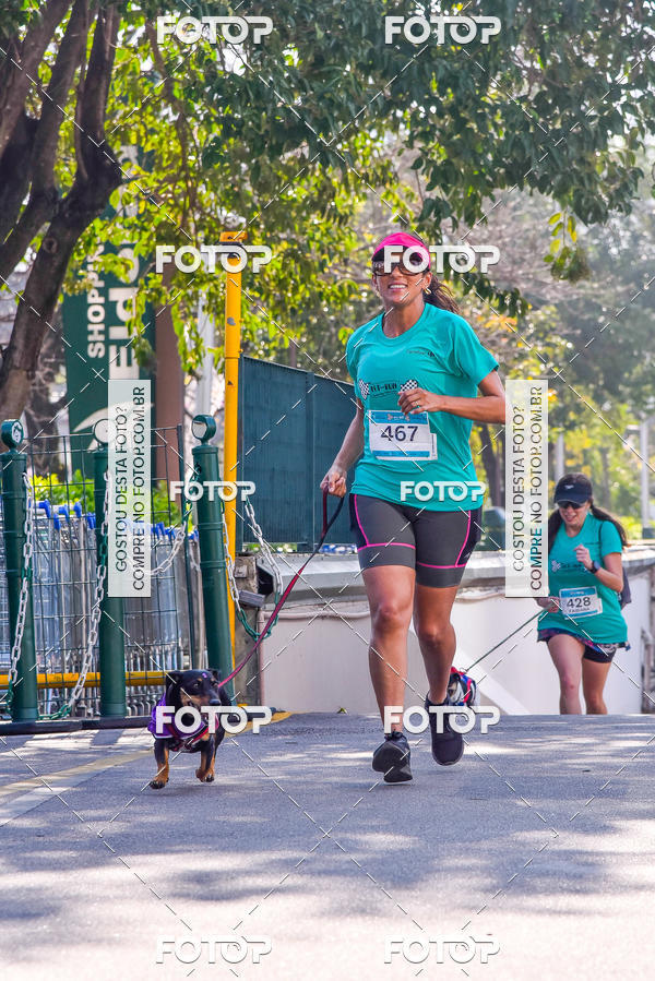 Buy your photos of the event2 Pet Run Shopping Eldorado  on Fotop