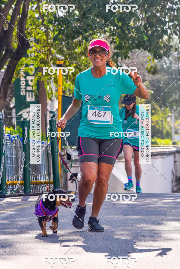 Buy your photos of the event2 Pet Run Shopping Eldorado  on Fotop