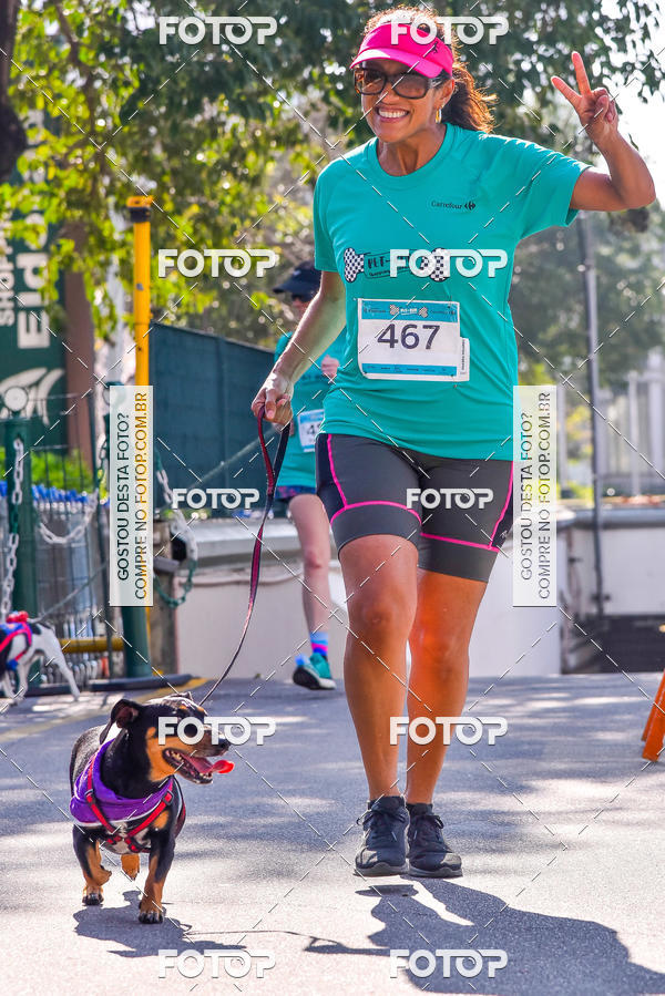 Buy your photos of the event2 Pet Run Shopping Eldorado  on Fotop