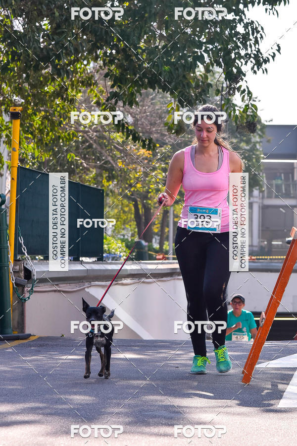 Buy your photos of the event2 Pet Run Shopping Eldorado  on Fotop
