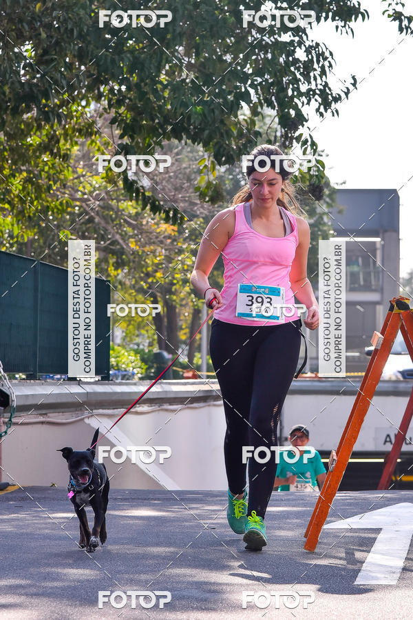 Buy your photos of the event2 Pet Run Shopping Eldorado  on Fotop