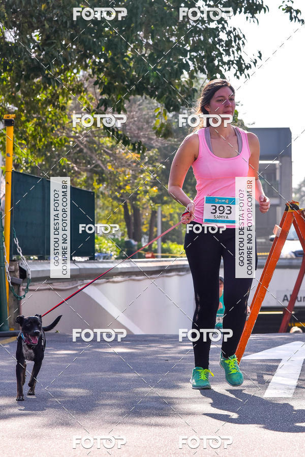 Buy your photos of the event2 Pet Run Shopping Eldorado  on Fotop