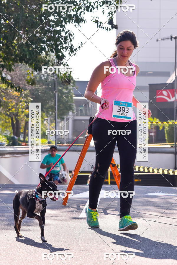 Buy your photos of the event2 Pet Run Shopping Eldorado  on Fotop