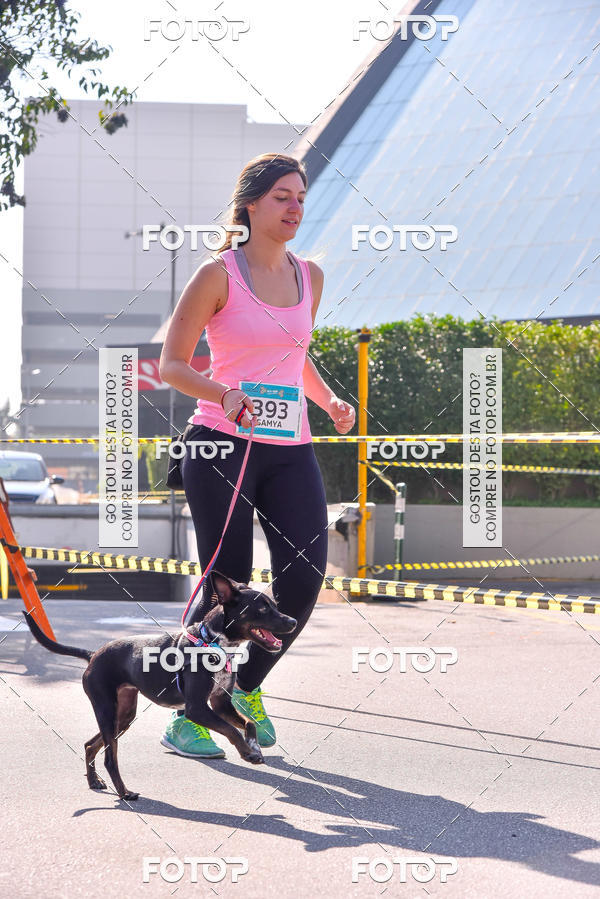Buy your photos of the event2 Pet Run Shopping Eldorado  on Fotop
