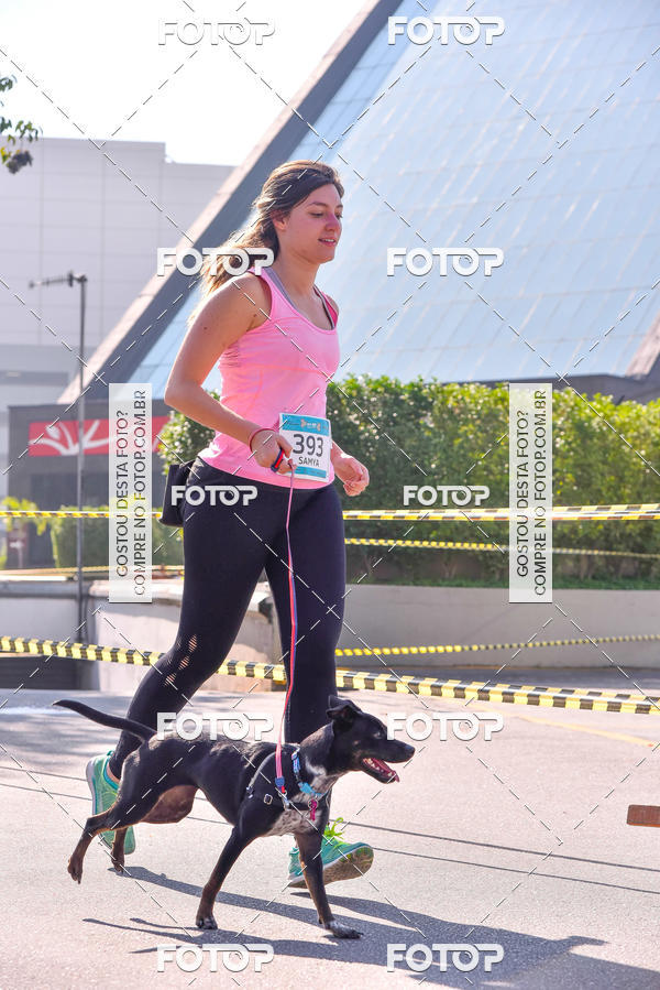 Buy your photos of the event2 Pet Run Shopping Eldorado  on Fotop