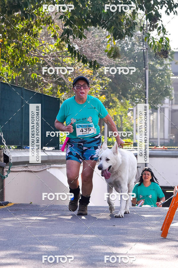 Buy your photos of the event2 Pet Run Shopping Eldorado  on Fotop