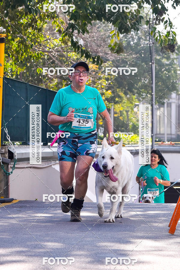 Buy your photos of the event2 Pet Run Shopping Eldorado  on Fotop