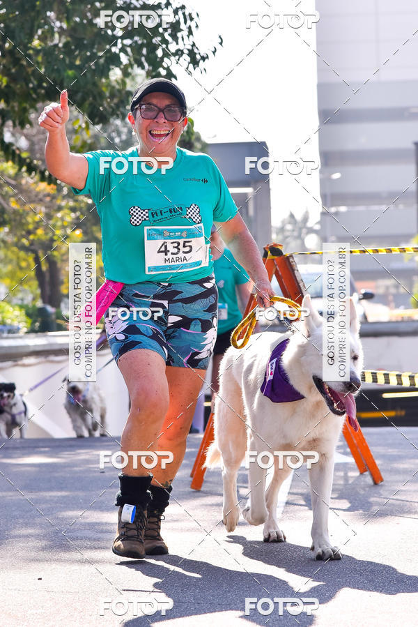Buy your photos of the event2 Pet Run Shopping Eldorado  on Fotop
