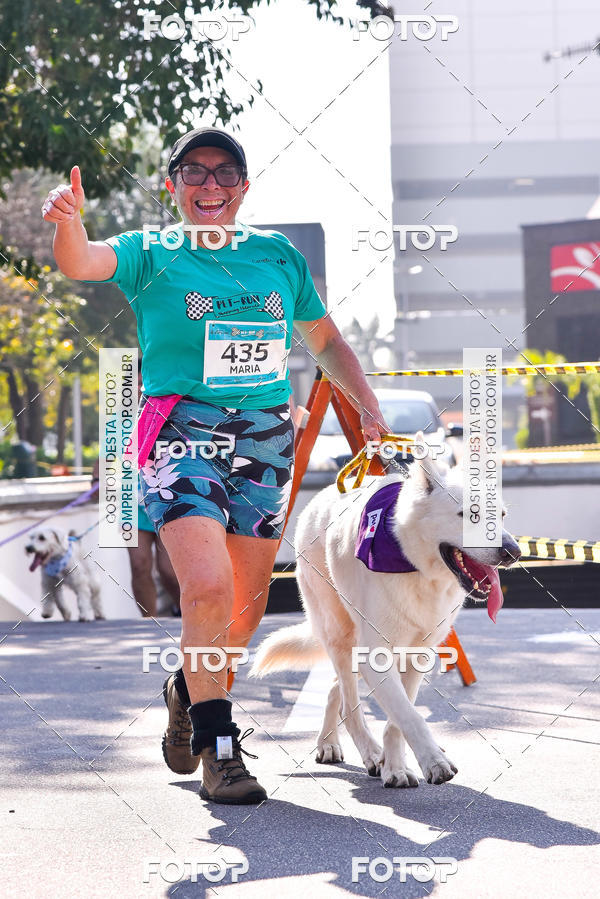 Buy your photos of the event2 Pet Run Shopping Eldorado  on Fotop
