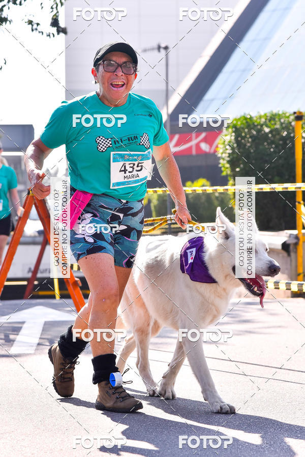 Buy your photos of the event2 Pet Run Shopping Eldorado  on Fotop