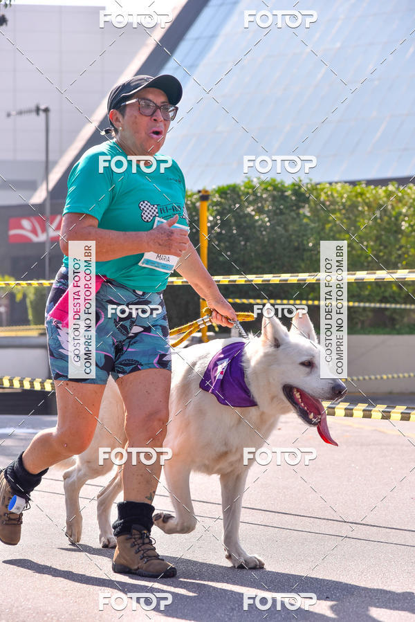 Buy your photos of the event2 Pet Run Shopping Eldorado  on Fotop