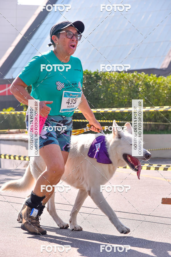Buy your photos of the event2 Pet Run Shopping Eldorado  on Fotop