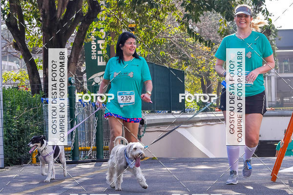Buy your photos of the event2 Pet Run Shopping Eldorado  on Fotop