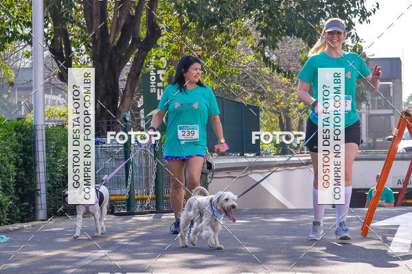 Buy your photos of the event2 Pet Run Shopping Eldorado  on Fotop