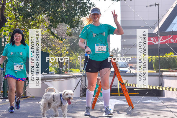Buy your photos of the event2 Pet Run Shopping Eldorado  on Fotop