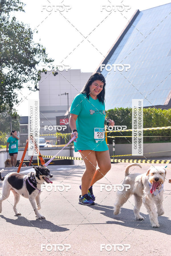 Buy your photos of the event2 Pet Run Shopping Eldorado  on Fotop