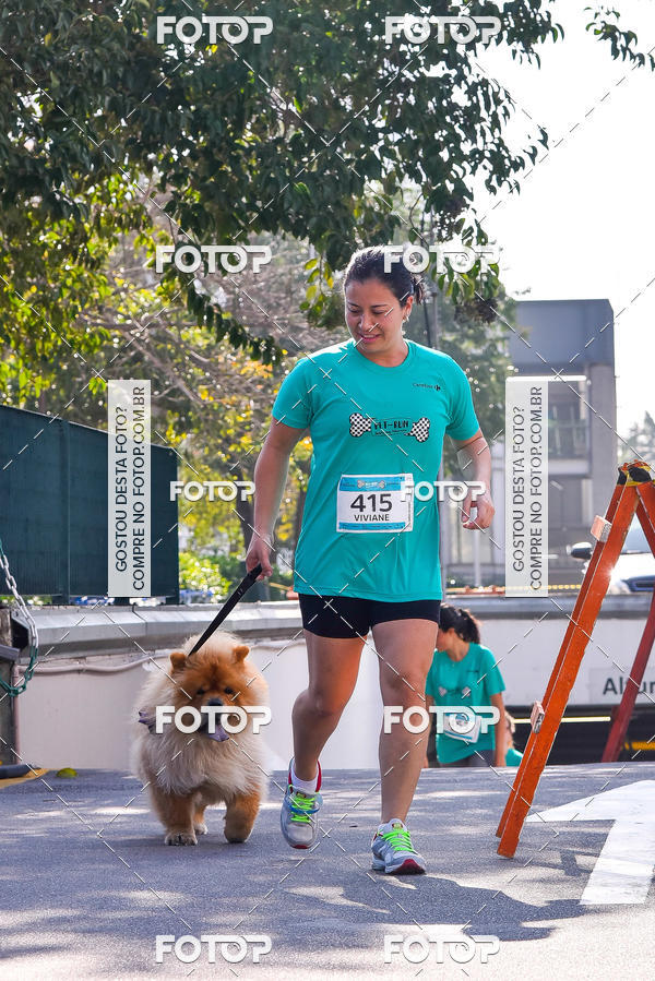 Buy your photos of the event2 Pet Run Shopping Eldorado  on Fotop