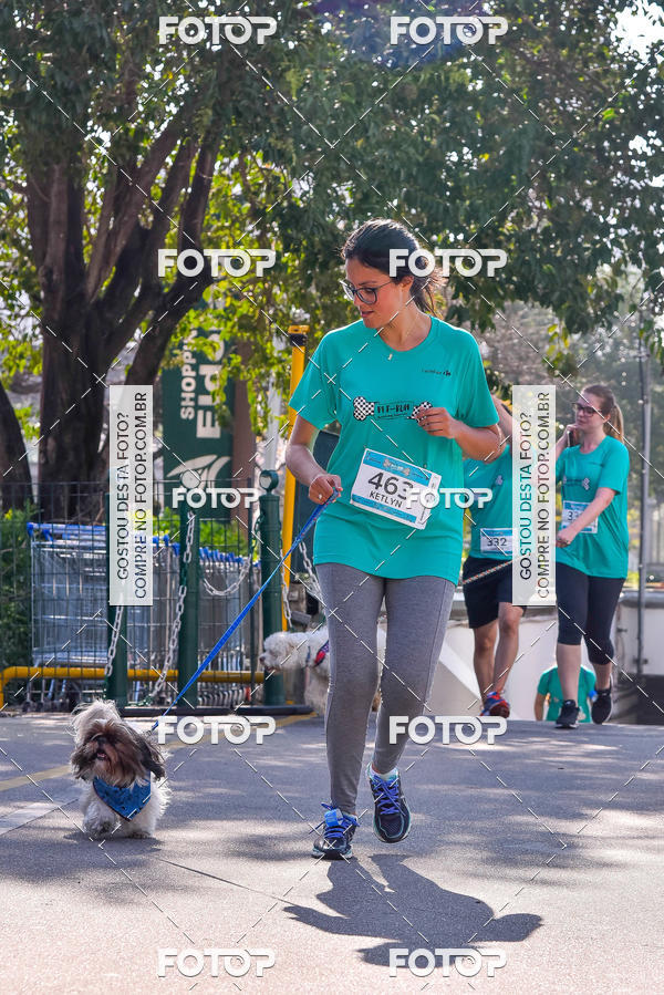 Buy your photos of the event2 Pet Run Shopping Eldorado  on Fotop