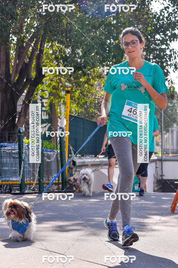 Buy your photos of the event2 Pet Run Shopping Eldorado  on Fotop