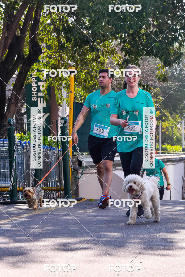 Buy your photos of the event2 Pet Run Shopping Eldorado  on Fotop