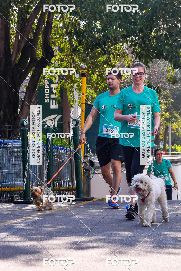 Buy your photos of the event2 Pet Run Shopping Eldorado  on Fotop