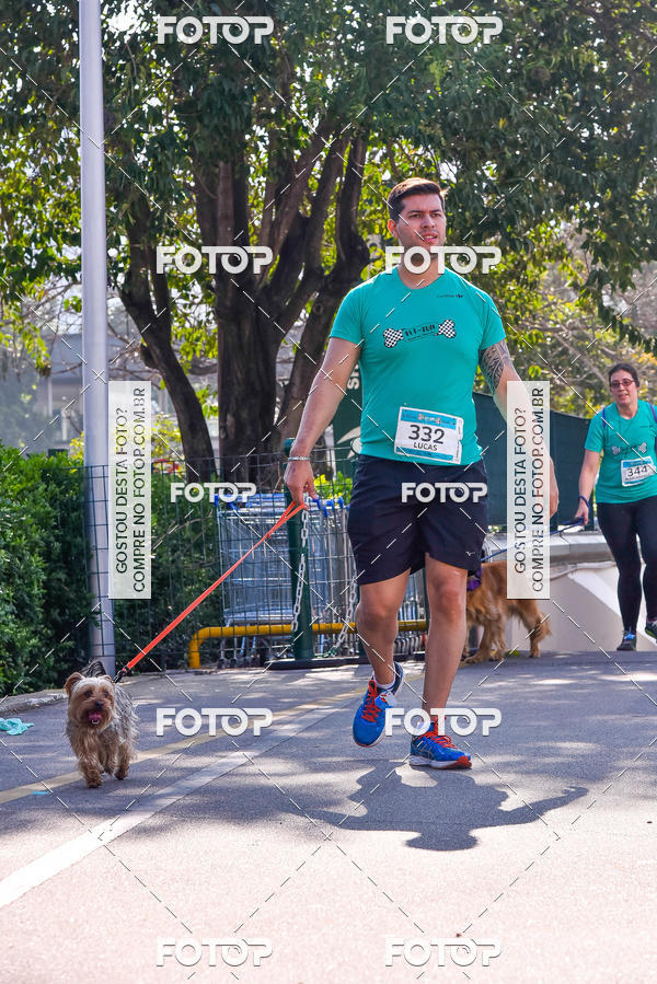 Buy your photos of the event2 Pet Run Shopping Eldorado  on Fotop