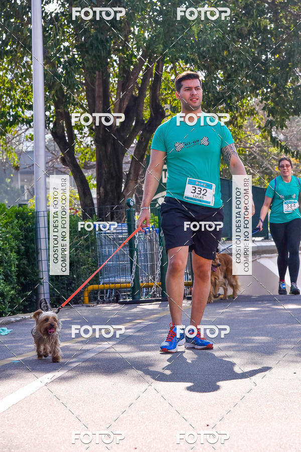 Buy your photos of the event2 Pet Run Shopping Eldorado  on Fotop