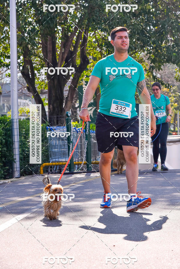 Buy your photos of the event2 Pet Run Shopping Eldorado  on Fotop