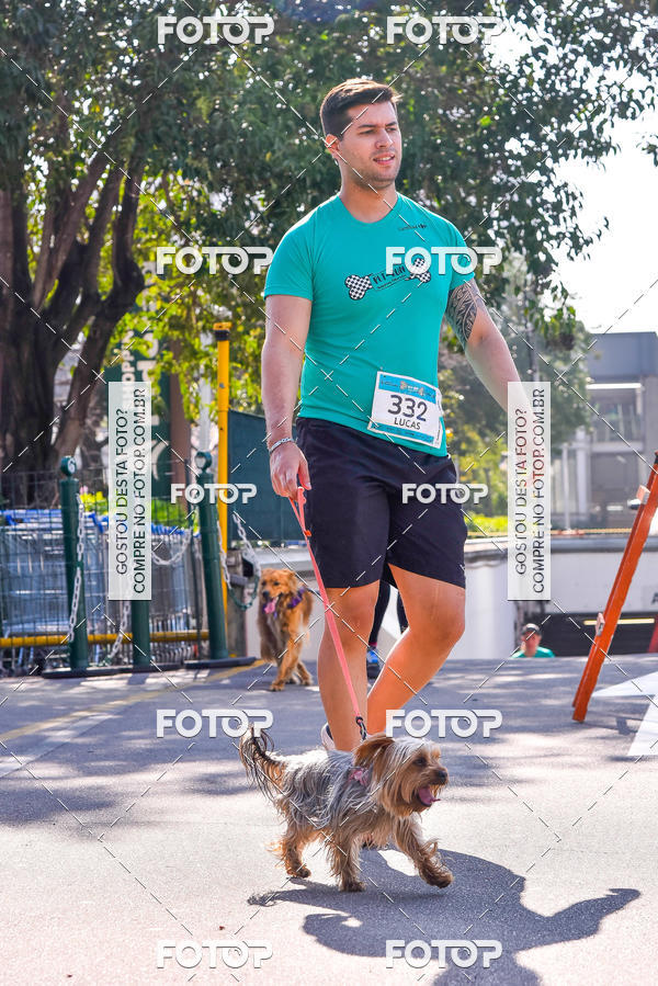 Buy your photos of the event2 Pet Run Shopping Eldorado  on Fotop