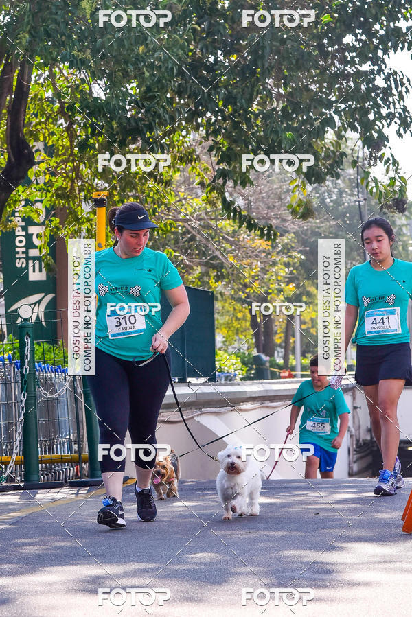 Buy your photos of the event2 Pet Run Shopping Eldorado  on Fotop