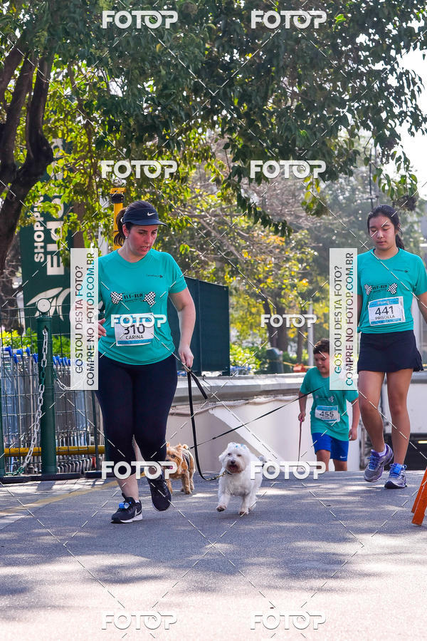 Buy your photos of the event2 Pet Run Shopping Eldorado  on Fotop