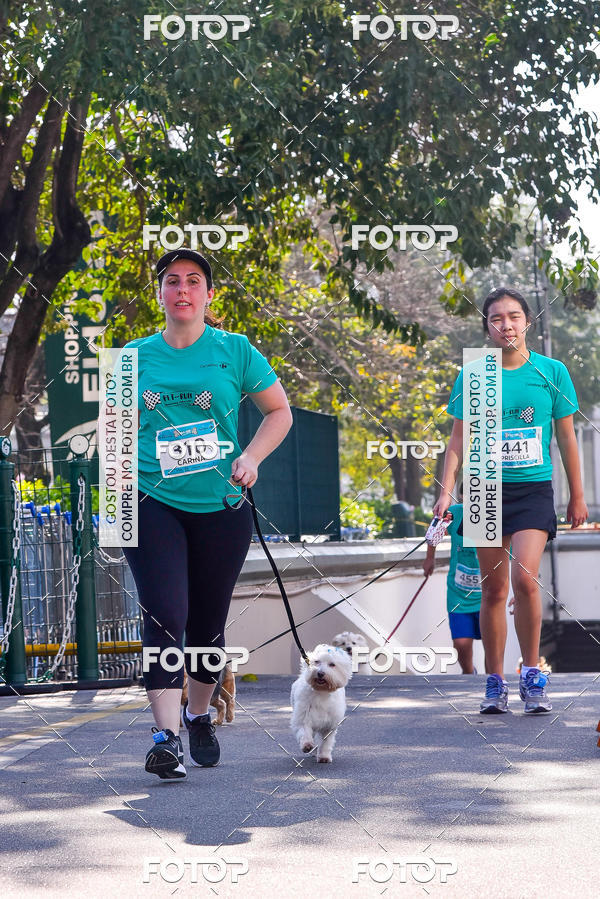 Buy your photos of the event2 Pet Run Shopping Eldorado  on Fotop