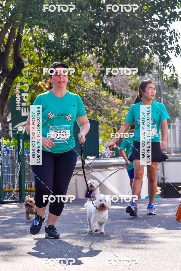 Buy your photos of the event2 Pet Run Shopping Eldorado  on Fotop