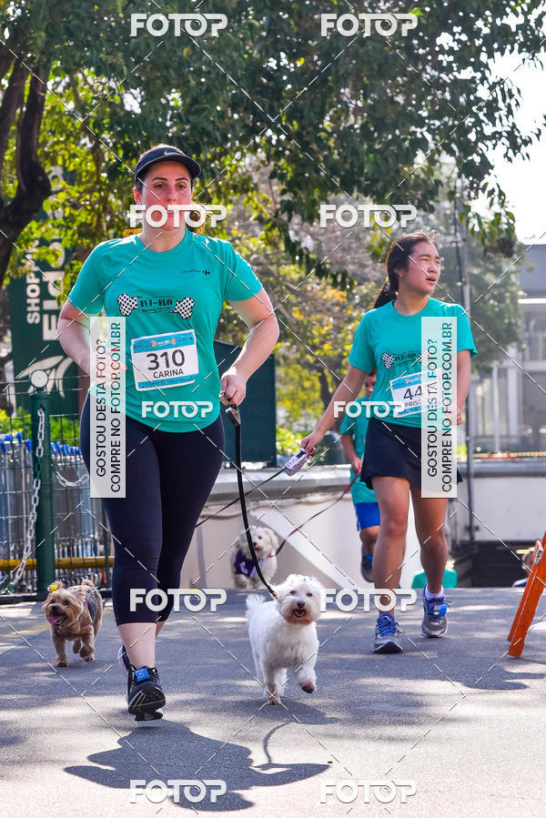 Buy your photos of the event2 Pet Run Shopping Eldorado  on Fotop