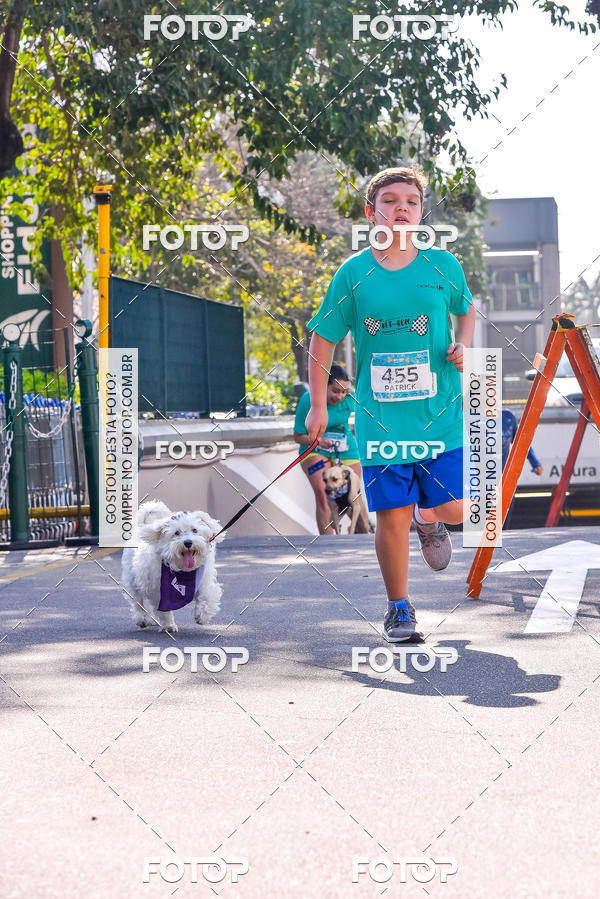 Buy your photos of the event2 Pet Run Shopping Eldorado  on Fotop