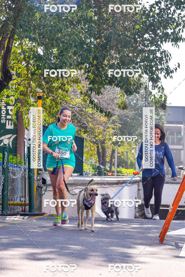 Buy your photos of the event2 Pet Run Shopping Eldorado  on Fotop