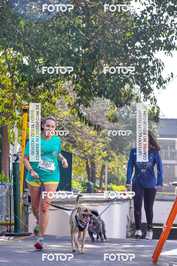 Buy your photos of the event2 Pet Run Shopping Eldorado  on Fotop