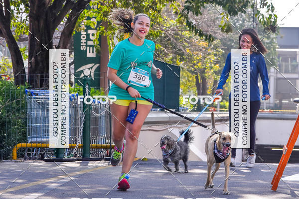 Buy your photos of the event2 Pet Run Shopping Eldorado  on Fotop