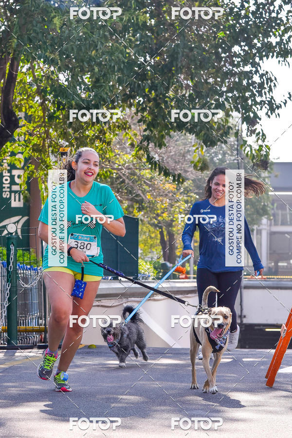 Buy your photos of the event2 Pet Run Shopping Eldorado  on Fotop
